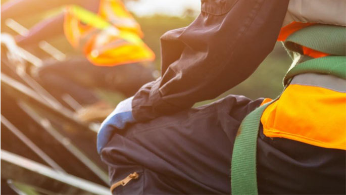 为什么选择我们？